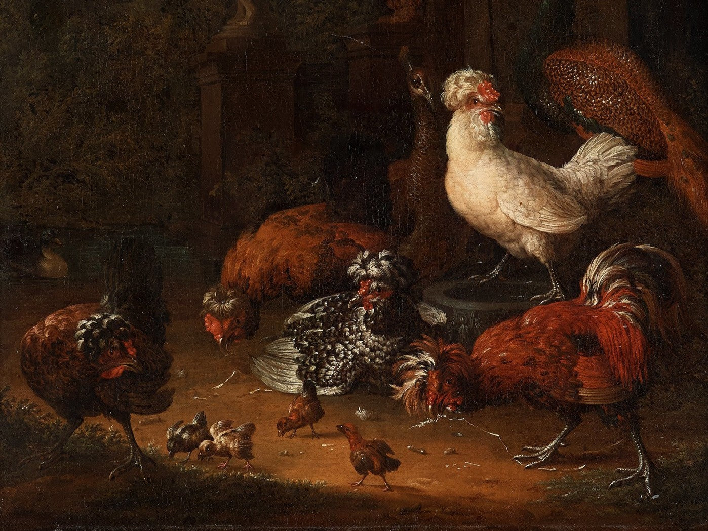CÍRCULO DE MELCHIOR HONDECOETER (1636–1695) Galinhas no jardim, óleo sobre tela, dim. aprox.: 62 x 54 cm
